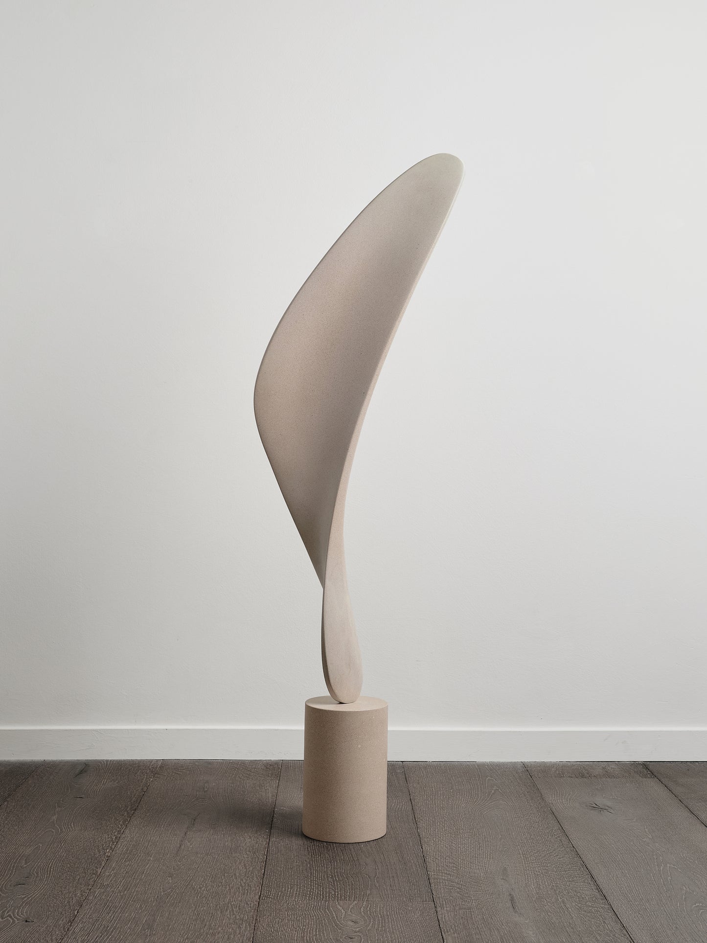 Wisp (2024)