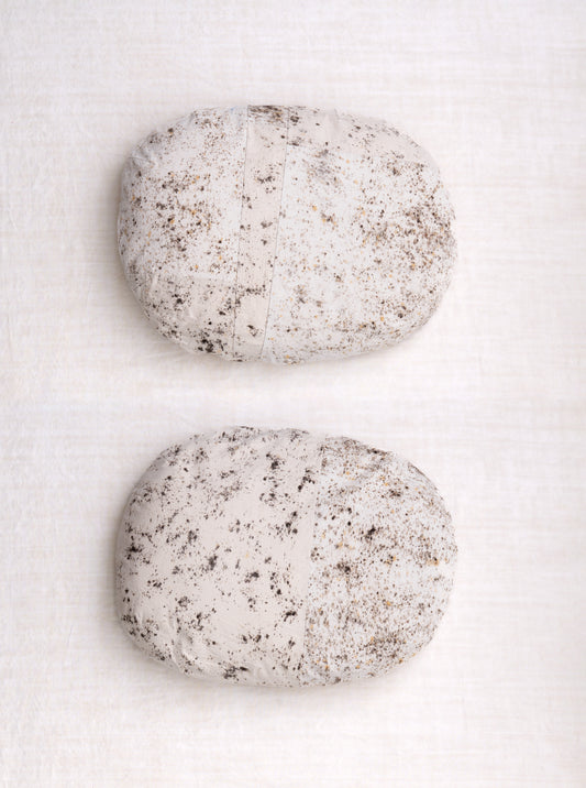 #8, large oblong stone pillow, 2025