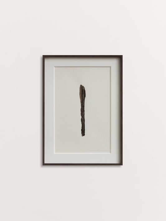 Spoon 01-1, 2017