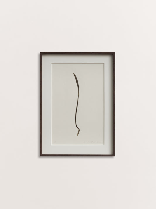 Spoon 06-1, 2017