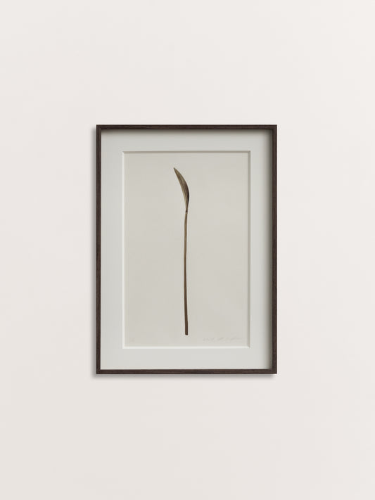 Spoon 13-1, 2017