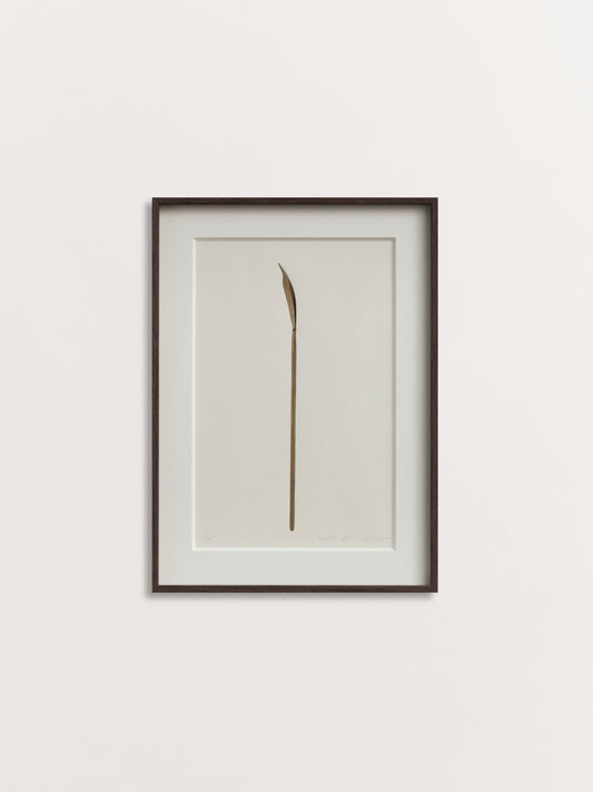 Spoon 19-1, 2017