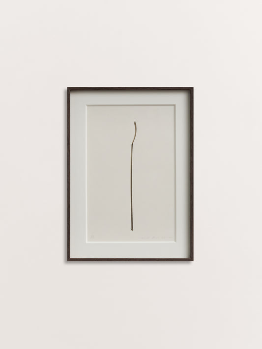 Spoon 21-1, 2017