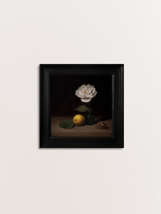 Madame Alfred Carrière, Lemon and Snail