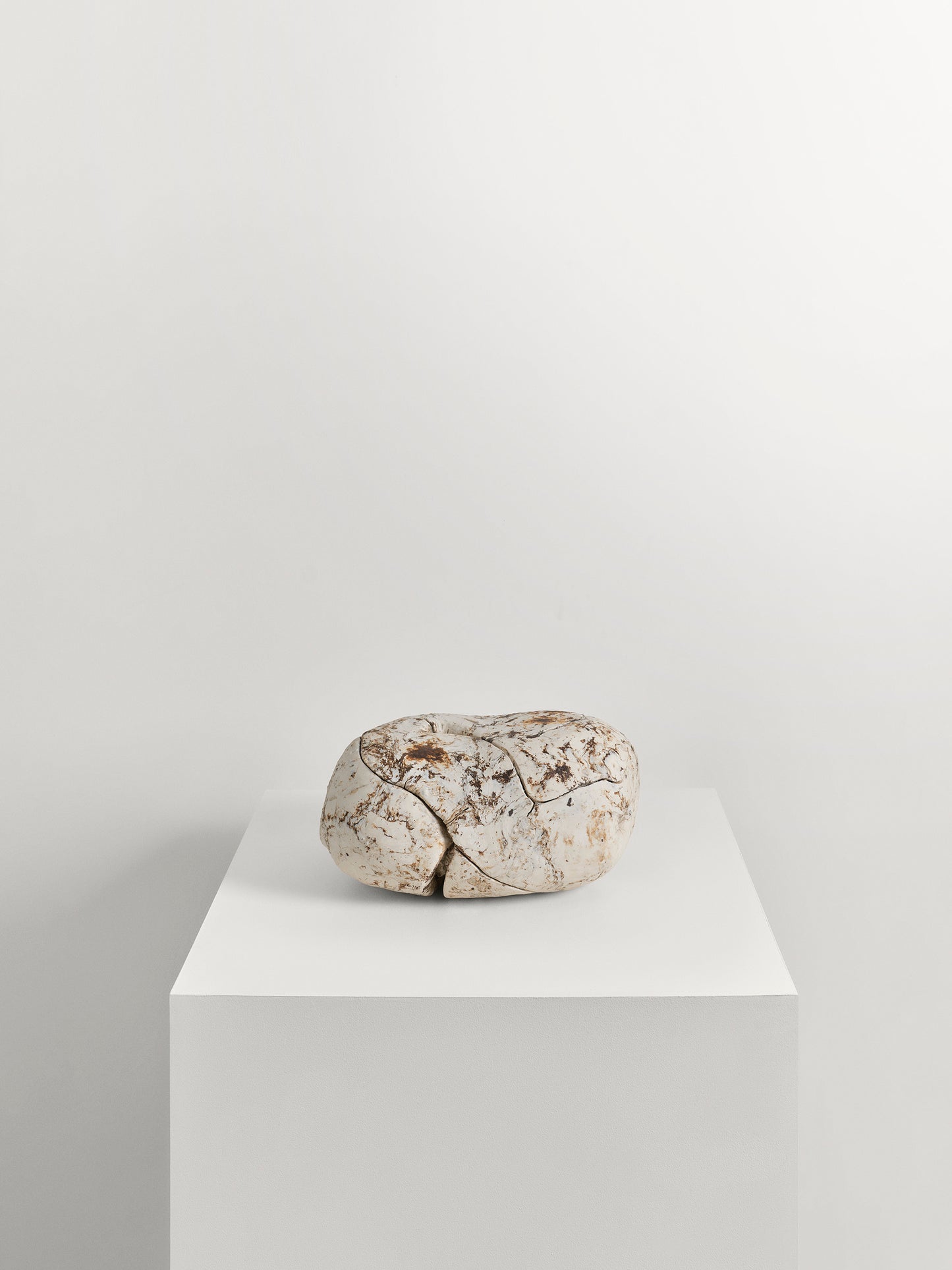 Pebble meteorite X (2023)