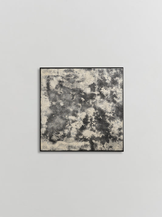 Soncor (Salar) (2019)