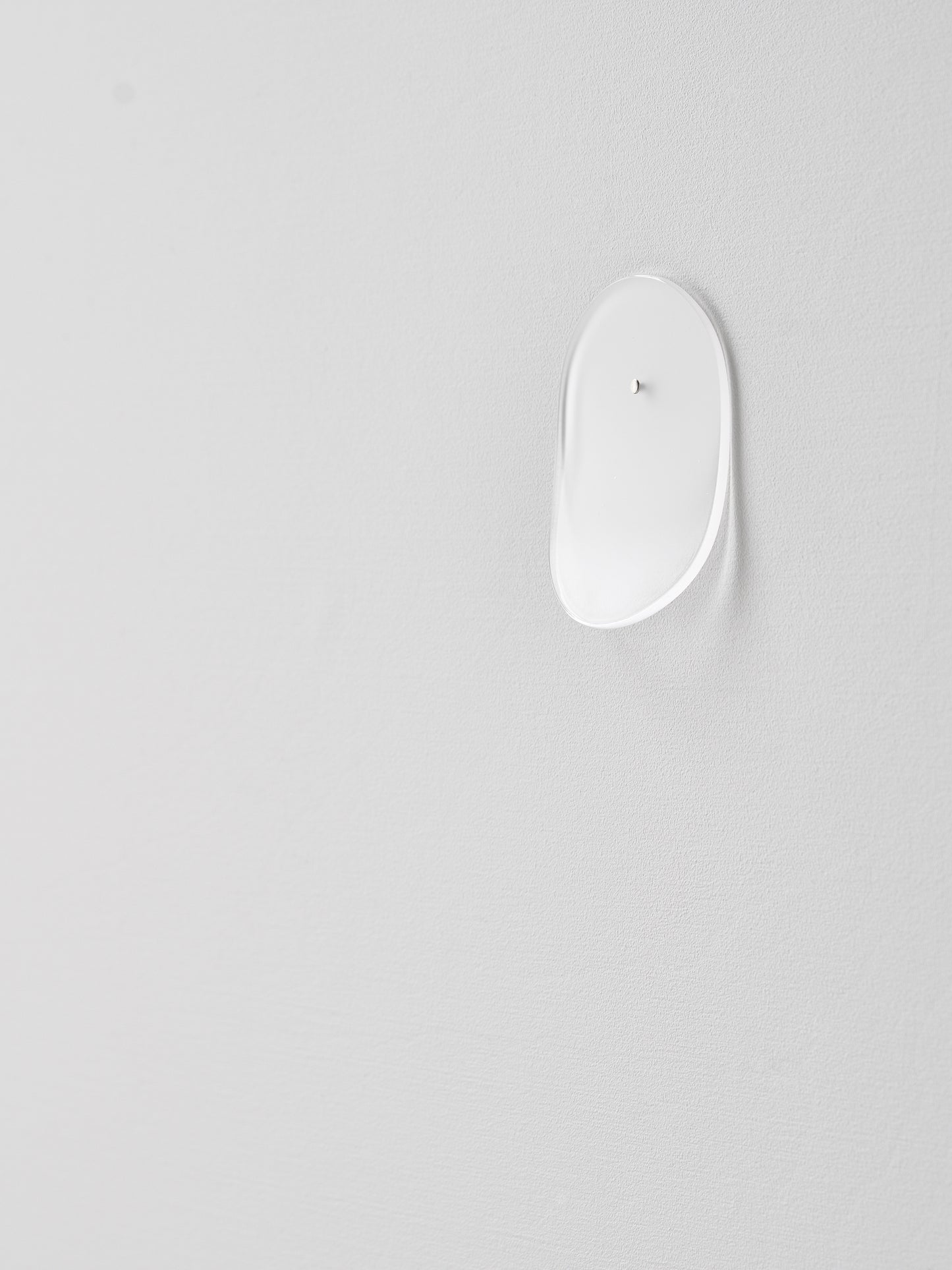 Wall Piece, Curved 9 (2024)